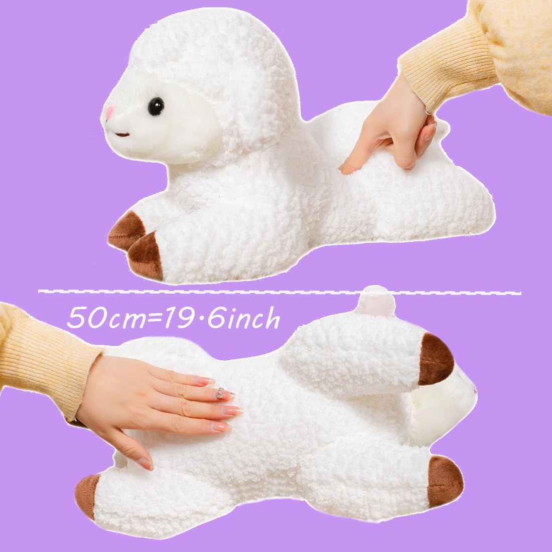 Wanda The Silly Sheep - Image 3